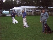 Hundeplatz_Allach_017